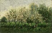 Apple Trees in Blossom